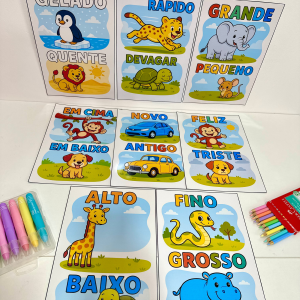 Fichas Conceitos